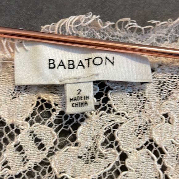Aritzia Babaton Lace Dress - Picture 3 of 6